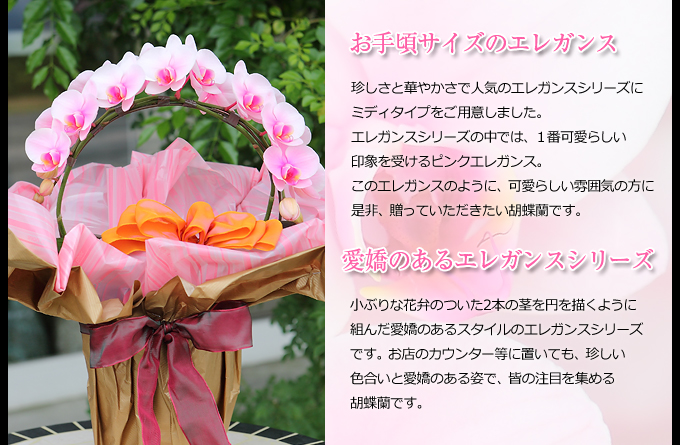 珍しさと華やかさで人気のエレガンスシリーズにミディタイプをご用意しました