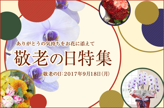 敬老の日に感謝の気持ちを伝えよう!敬老の日おすすめフラワーギフト特集2015