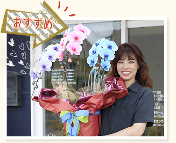 スタッフ一押しギフト『3色胡蝶蘭サプライズエレガンス』