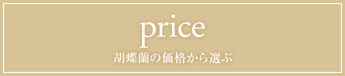 胡蝶蘭の価格で選ぶ