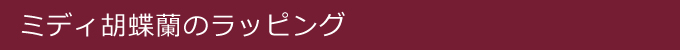 ミディ胡蝶蘭のラッピング