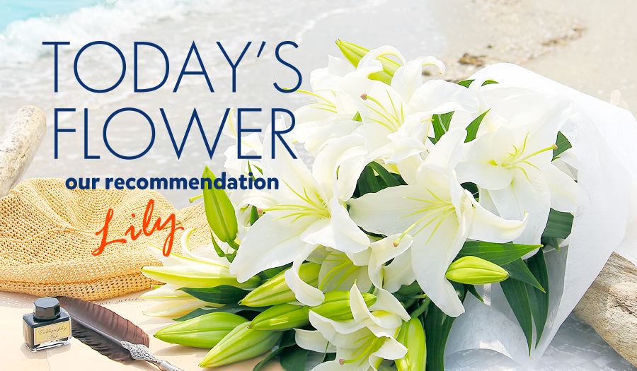 夏の花ユリの花言葉をご紹介大切な日に贈るフラワーギフト フラワーギフト通販の花屋 フラワーショップ花夢