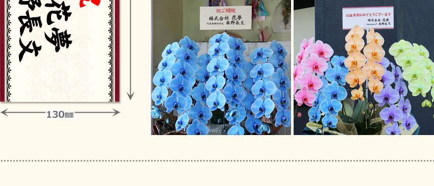 エレガンスシリーズ　色合い