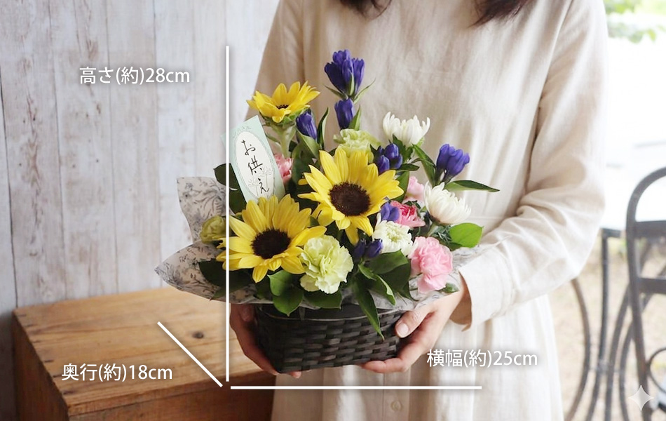 商品を手に持った時のサイズ感