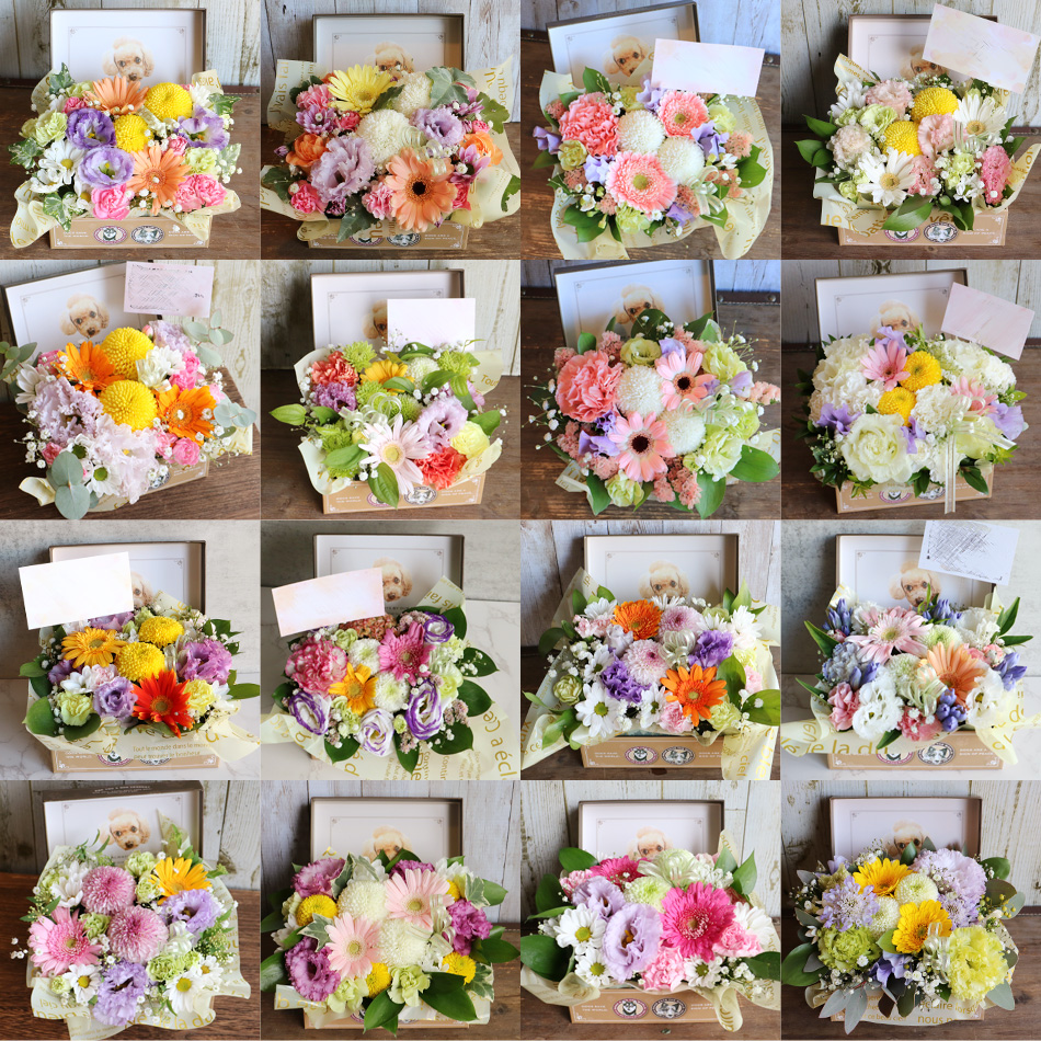 ペットのお供え　プレゼント