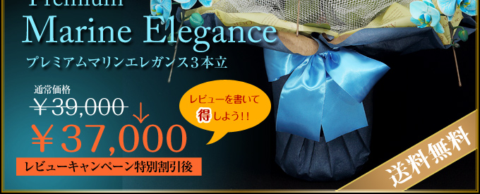 レビューを書いて得しよう！割引して送料無料でお届けします