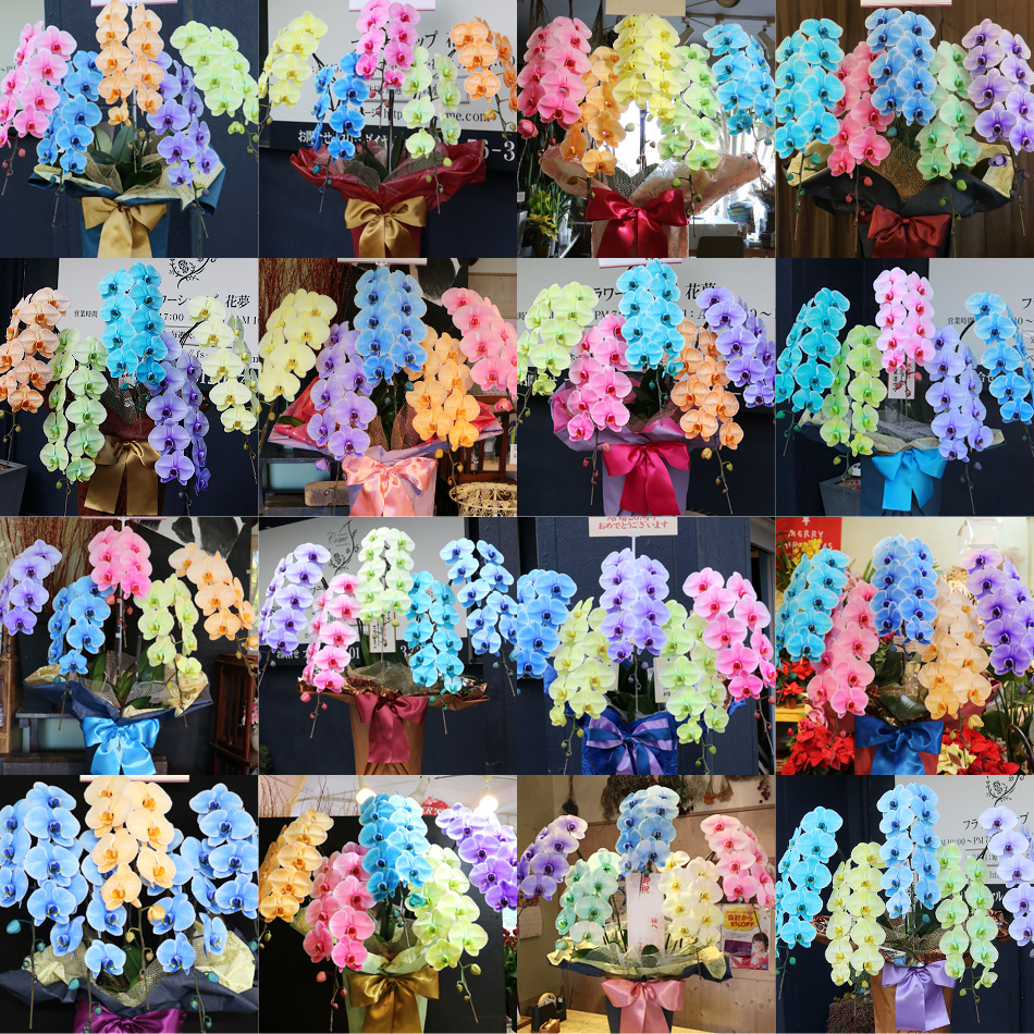 カラーバリエーション