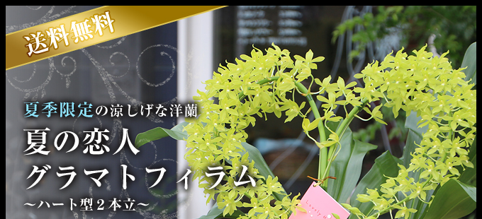 夏の恋人グラマトフィラムハート型2本立