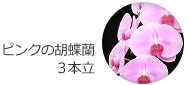 ピンクの胡蝶蘭