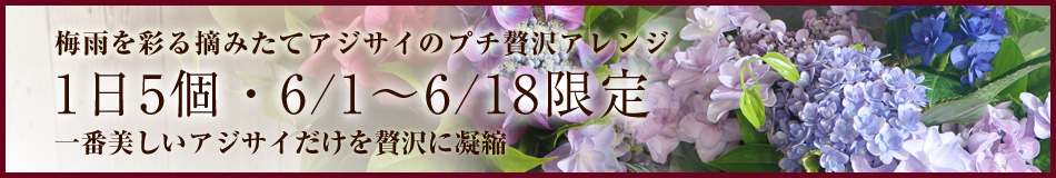 アジサイだけのアレンジ花
