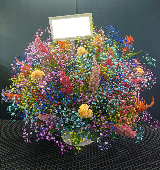 珍しい虹色カスミソウを退職祝いにプレゼント フラワーショップ花夢 フラワーギフト通販の花屋 フラワーショップ花夢