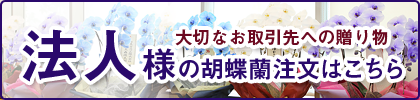 法人様の胡蝶蘭注文はこちら