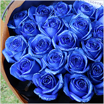 青い煌薔薇の花束 プロポーズ