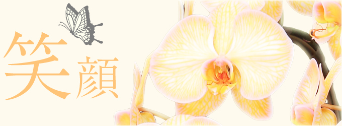 当店おすすめ胡蝶蘭～新鮮・安心・高品質をお求めでしたらフラワーショップ花夢にお任せください