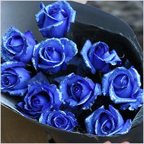 お花の色で選ぶ 青系フラワーギフト フラワーギフト通販の花屋 フラワーショップ花夢