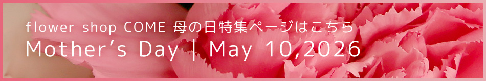 母の日特集